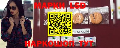 a pvp Ставрополь