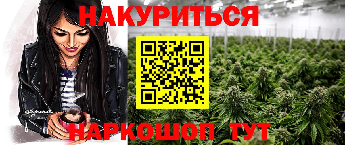 Канабис сатива Нарткала
